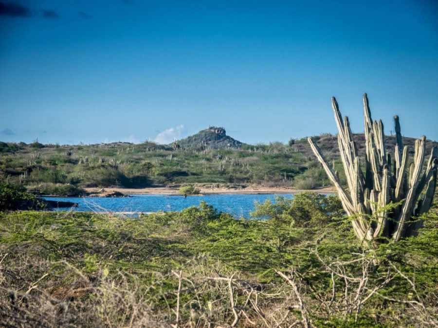zon zee strand vakantie jan thiel st joris mambo beach willemstad curacao boanire aruba villa house appartment for rent rental huren aquilar casa luxe kit surfen baai eiland isla island nederlanders americans colombiana eco resort sea sun zwembad yacuzzi pool gated safe surf kite sint joris baai sea view bay walking tracks relax